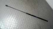 Haubend�mpfer Opel Insignia AJ1 13252173