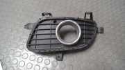 Luftgitter/ Blende Nebelscheinwerfer Links Mercedes-benz A-klasse 169 A1698850722
