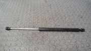 Heckklappend�mpfer Renault Twingo C 06
