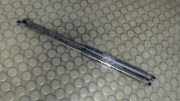 Heckklappend�mpfer Ford KA RU8
