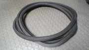 Türdichtung Links ( 2/3 Türer ) VW Polo 9 N 6Q3867911H