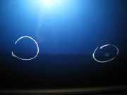 TÜR Vorne Rechts (4/5-Türer) Renault Clio B/C 57