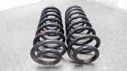 Hintere Federn / Federn Hinten BMW 5er E39