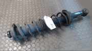 Federbein Hinten Links Rover Rover 200 RF