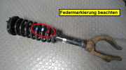Federbein Vorn Links Honda Accord CL7/CL9/CM1/CM2/CN1/CN2