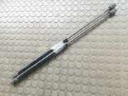 Heckklappend�mpferpaar VW Golf 19 E