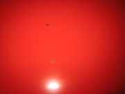 Motorhaube VW Polo 6 N/6 KV