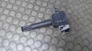 Zündspule Audi Audi A6 4B 0040100013