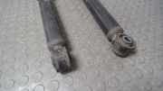 Stossdämpferpaar Hinten/ Stossdämpfer Hinten VW Eos 1 F 1Q0513029A