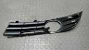 Luftgitter / Ziergitter Rechts VW Passat 3C/3CC 3C0853666A