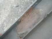 Stoßstange / Stoßfänger Hinten Renault R 5 122 B, B/C 40