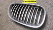 K�hlergrill Rechts BMW 5er E60/E61