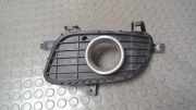 Luftgitter/ Blende Nebelscheinwerfer Links Mercedes-benz A-klasse 169 A1698850722