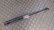Heckklappendämpferpaar / Heckklappenlifter Chevrolet Matiz Klak