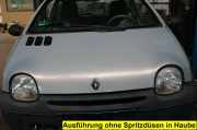 Motorhaube Renault Twingo C 06