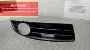 Luftgitter / Ziergitter Rechts VW Passat 3C/3CC 3C0853666A