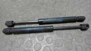 Heckdeckeldämpfer Opel Vectra C 11636C