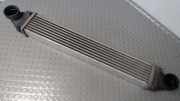 Ladeluftk�hler Mercedes-benz A-klasse 169 A1695000000