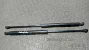 Heckscheibend�mpferpaar Peugeot 207 W