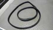 T�rdichtung Hinten Links Renault Twingo AH