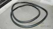 T�rdichtung Vorne Links ( 2/3 T�rer ) Opel Corsa D