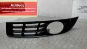 Luftgitter / Ziergitter Links VW Passat 3C/3CC 3C0853665A