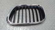 Niere Links / Kühlergrill Links BMW X 5 E53