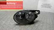Nebelscheinwerfer Links VW Passat 3C/3CC