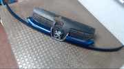K�hlergrill (leicht Besch�digt) Peugeot 206 2KFX/2NFZ/