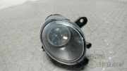 Nebelscheinwerfer Links VW Passat 3BG/3BL/3BS