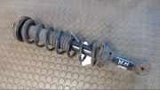 Federbein Hinten Rechts Rover Rover 200 RF