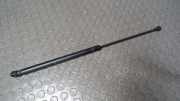 Haubend�mpfer VW Polo 9 N