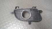 Luftgitter/ Blende Nebelscheinwerfer Rechts Mercedes-benz A-klasse 169 A1698850822