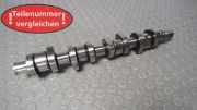 Nockenwelle AVB VW Passat 3BG/3BL/3BS