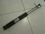 Heckklappendämpferpaar Renault Twingo C 06