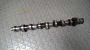 Nockenwelle BGU Seat Altea 5P1