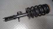 Federbein Vorn Links BMW X 5 E53