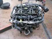 Motor D6BA Ford Mondeo B5Y/B4Y/BWY
