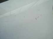 Motorhaube Opel Corsa A