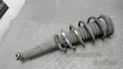 Federbein Vorne Links Peugeot 407 6RFN/66FY/66FZ/6RFJ/63FZ/63FY/6XFV/69HZ/
