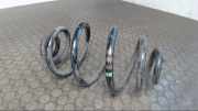 Hinterfeder Links VW Passat 3BG/3BL/3BS