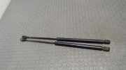 Heckklappend�mpfer Mini (bmw) Mini II R50 / R53 6801258