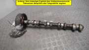 Nockenwelle Auslass Opel Astra H 24405965