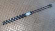Heckklappend�mpferpaar Rover Rover 200 RF