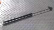 Heckklappend�mpferpaar Seat Ibiza 021 A