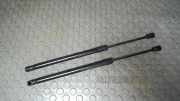 Heckklappend�mpferpaar Suzuki SX4 Ey/gy
