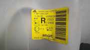 Scheinwerfer Rechts Smart Smart MC 01