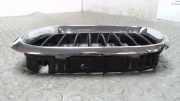 Niere Links / K?hlergrill Links BMW X 5 E53