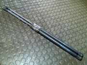 Heckklappendämpferpaar Peugeot 406 8P8C/84HX/
