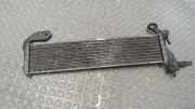 Kühler Kraftstoff Mercedes-benz C-klasse 202 A2025007903